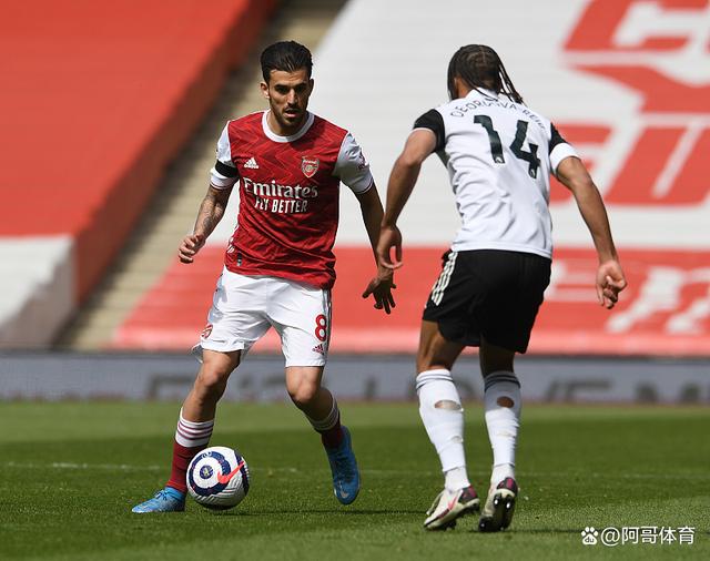 包含布鲁克林篮网内部会议纪要流出：赛后豪取连胜；英超使命明确；医务组通报恢复的词条